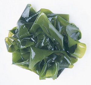 wakame_01.jpg